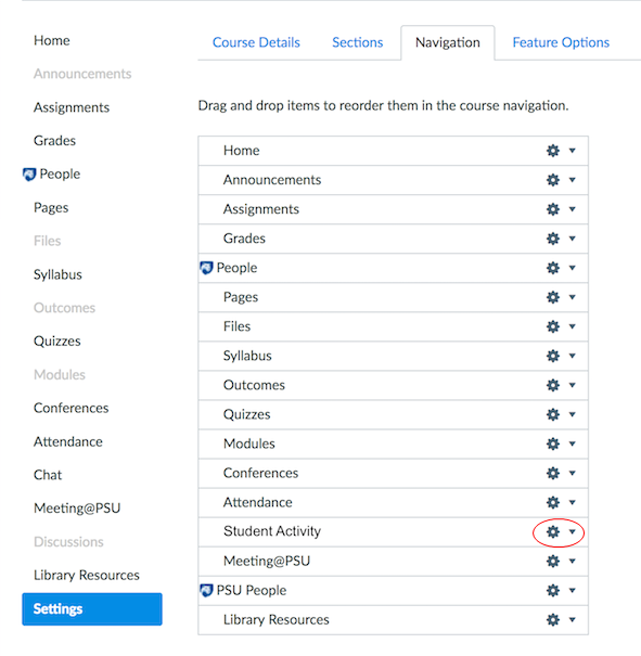 Screen capture of Navigation tab with gear icon next to Student Activity indicated.