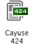Cayuse 424 icon of a stack of documents with 424 in a green box.