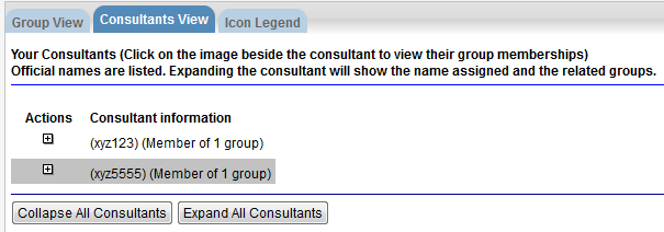 Screen capture of Consultants View tab.