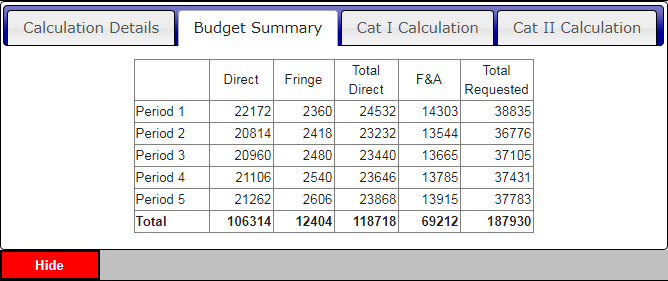 Budget Summary tab broken down by period of performance.