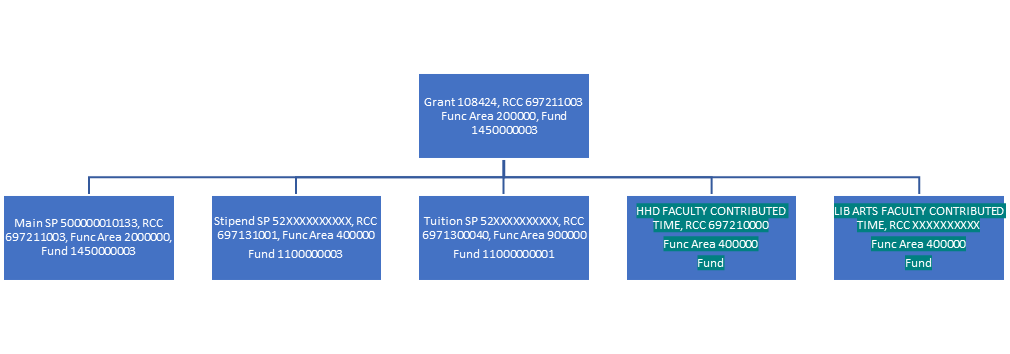 Diagram showing a grant with cost share