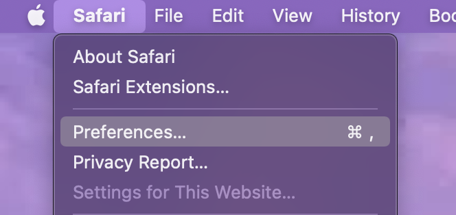 safari preferences 