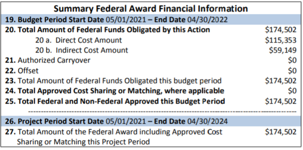 Example of a Summary Federal Award Financial Information