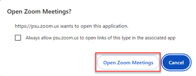 The Open Zoom button.