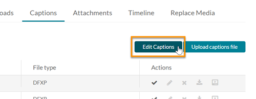 The Edit Captions button under the Captions tab.