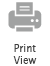 Print View printer icon