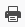 print icon