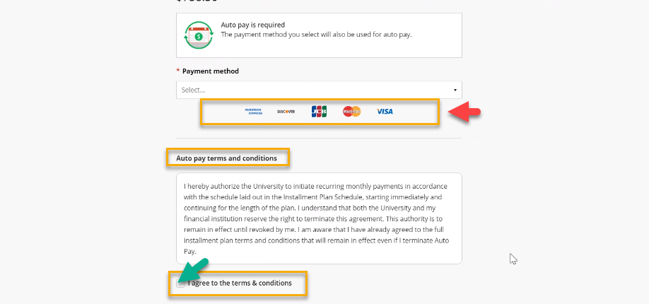 Screenshot of payment method showing credit cards accepted and terms and conditions