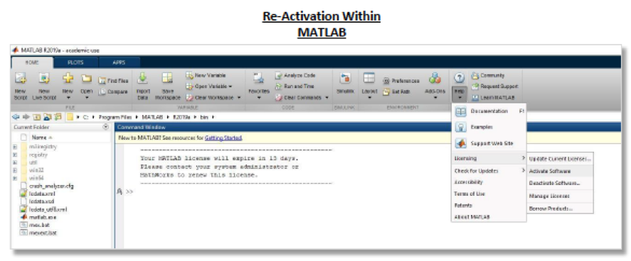 matlab reactivation image