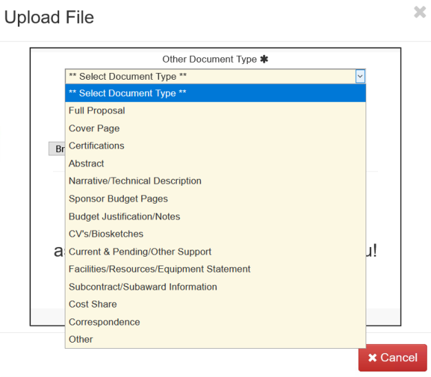  The File Upload Panel for Other Document Types.